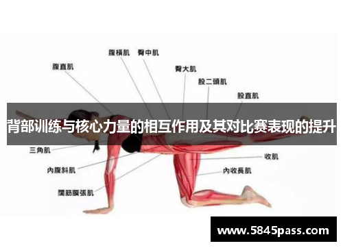 背部训练与核心力量的相互作用及其对比赛表现的提升
