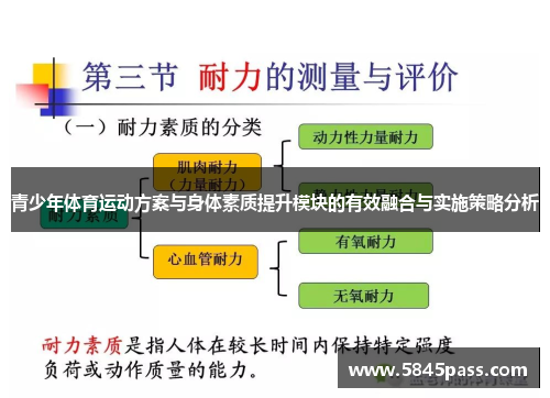 青少年体育运动方案与身体素质提升模块的有效融合与实施策略分析